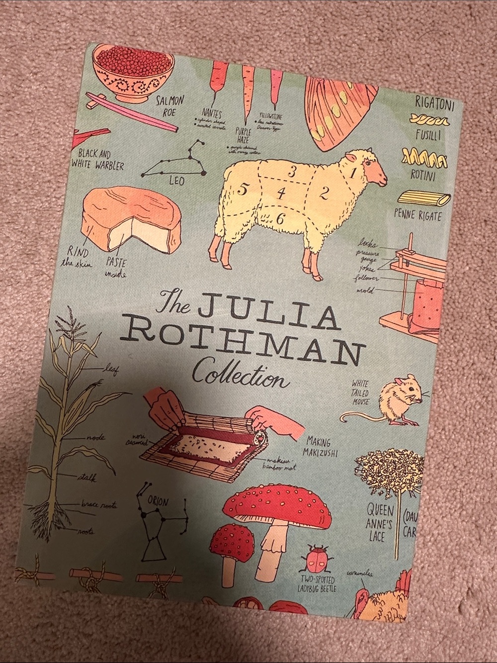 The Julia Rothman Collection book set